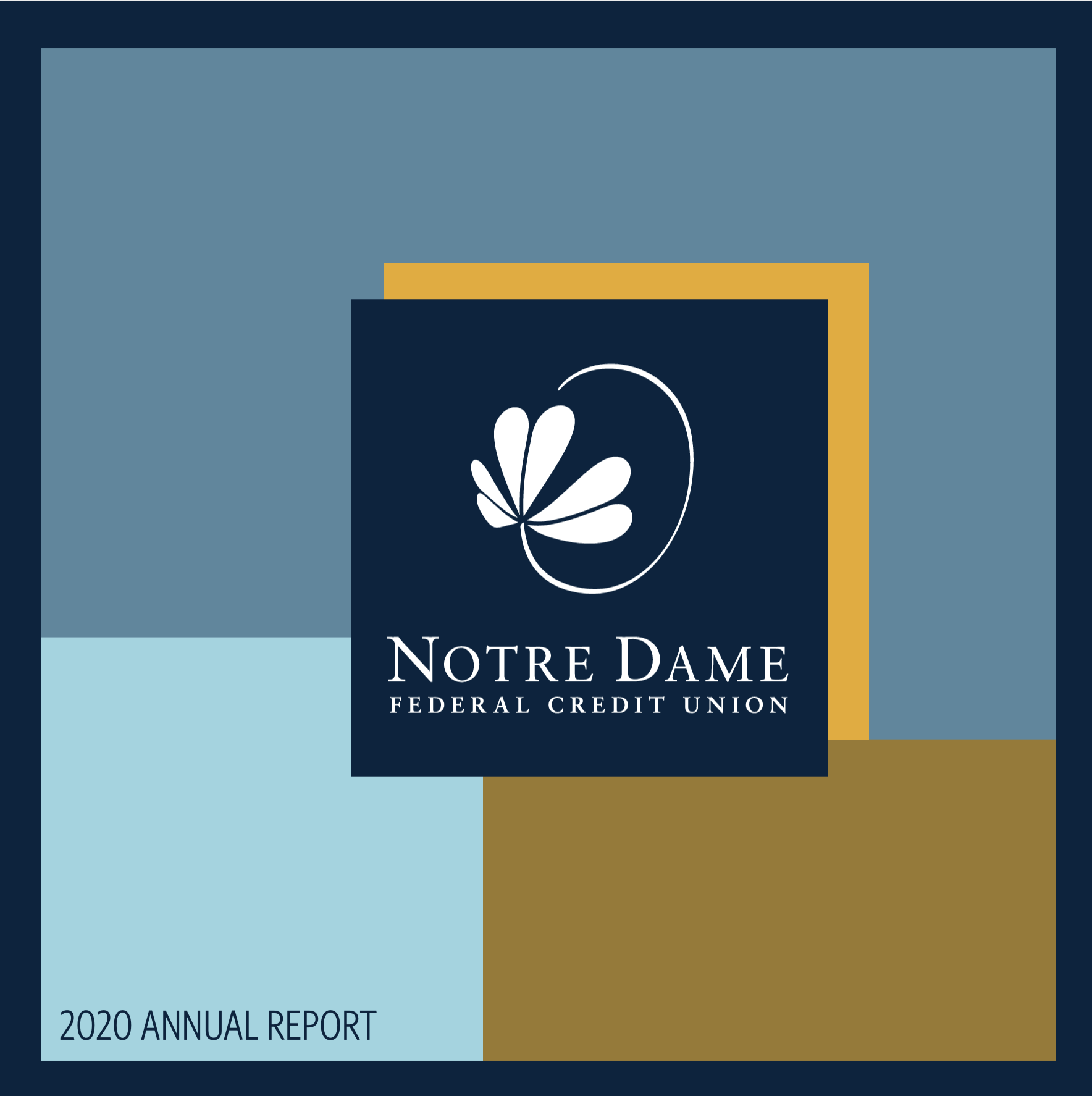 2020 annual report
