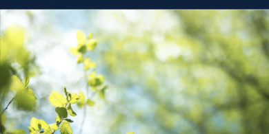 Spring 2022 Newsletter For Your Interest